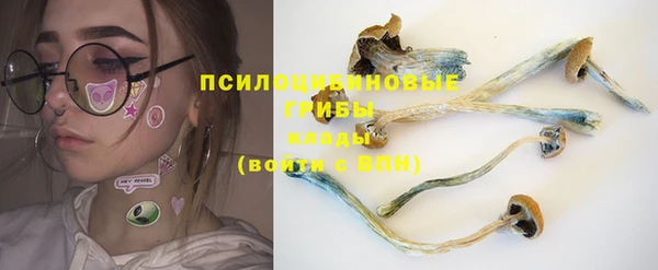 альфа пвп Белокуриха